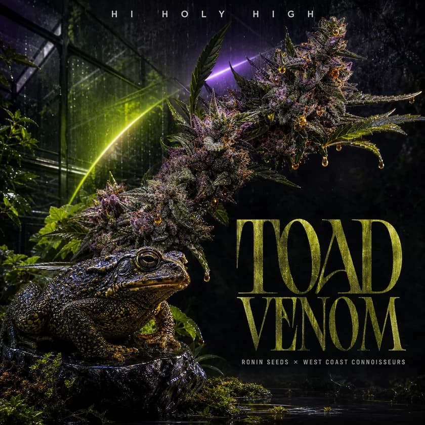 Toad Venom