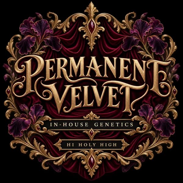 Permanent Velvet