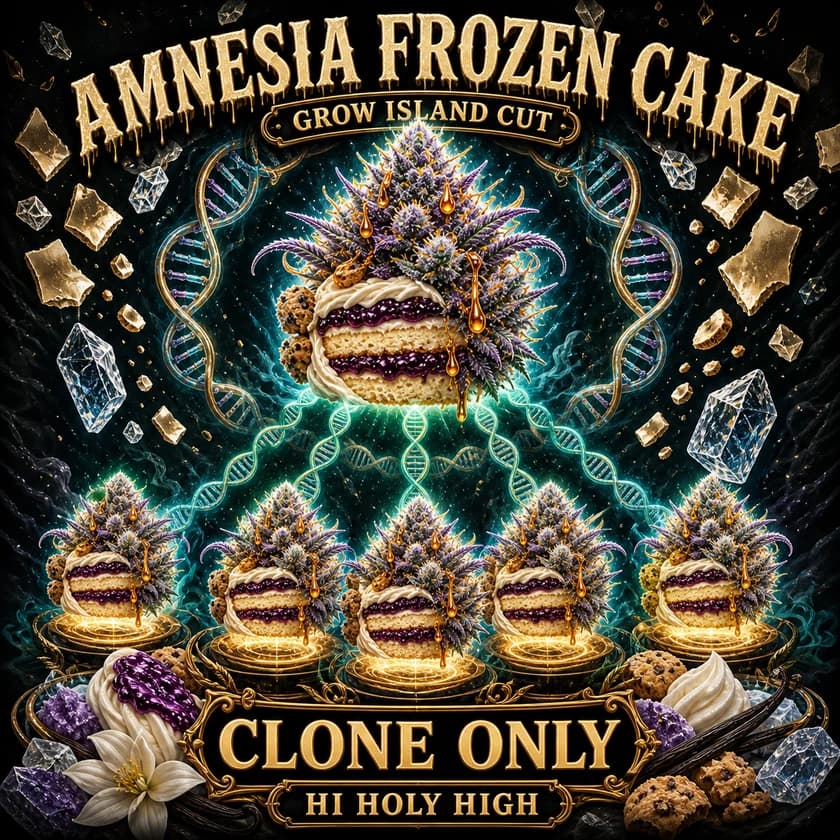 Amnesia Frozen Cake