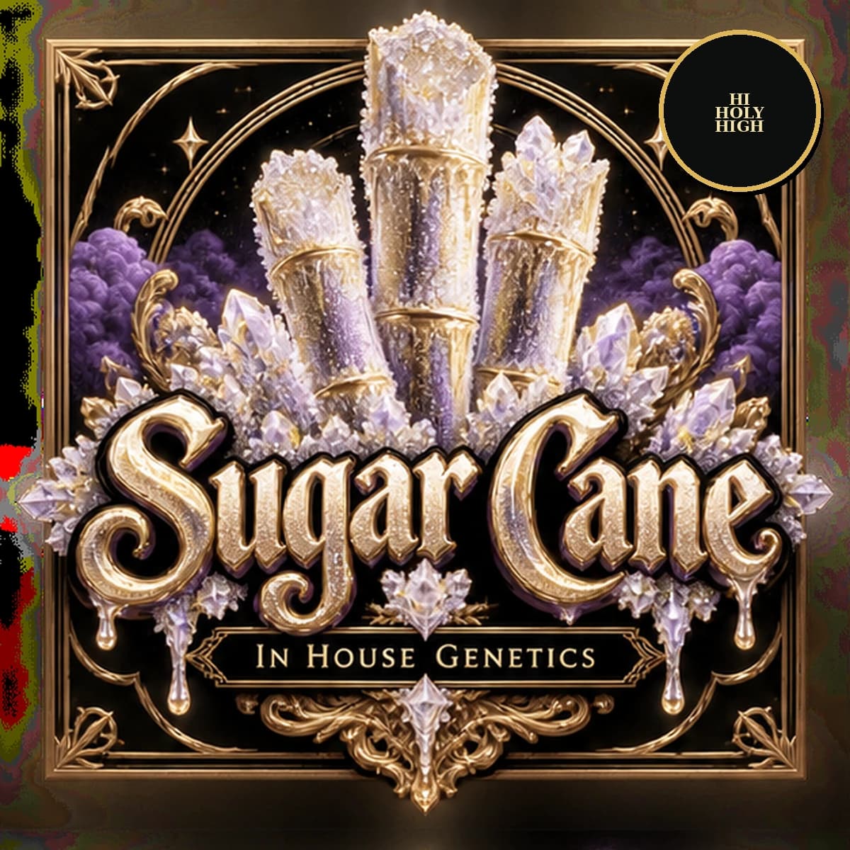Sugar Cane · In House Genetics