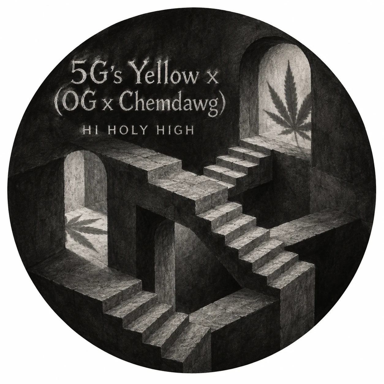 Arte provisional A-R1 · 5G's Yellow x (OG x Chemdawg)