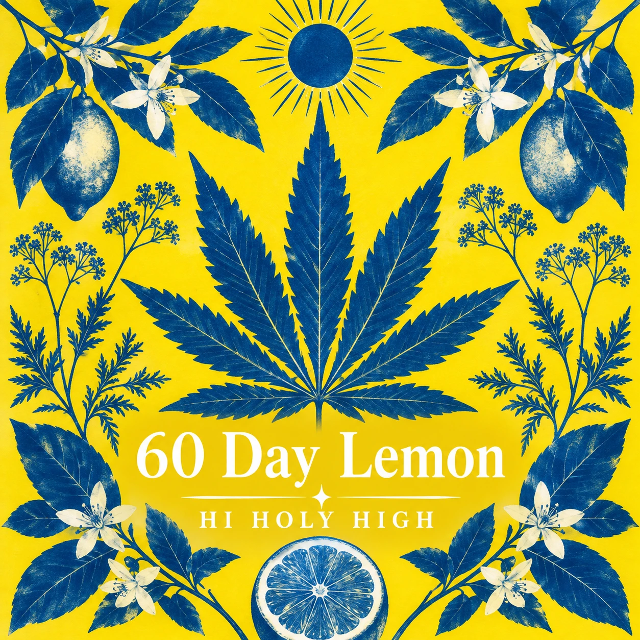 Arte provisional A-S1 · 60 Day Lemon