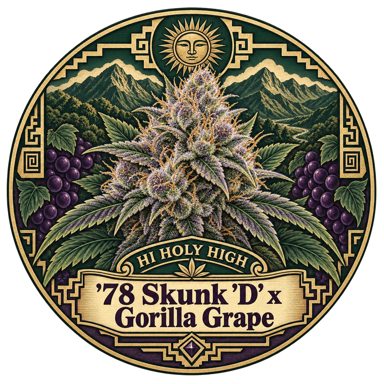 Arte provisional B-R2 · '78 Skunk 'D' x Gorilla Grape
