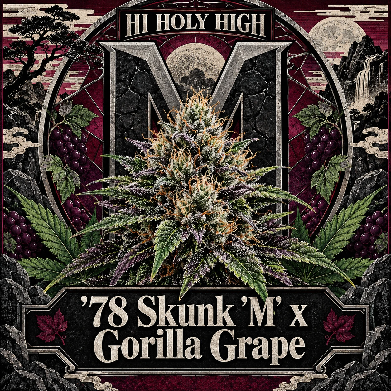 Vorläufiger Entwurf B-S2 · '78 Skunk 'M' x Gorilla Grape