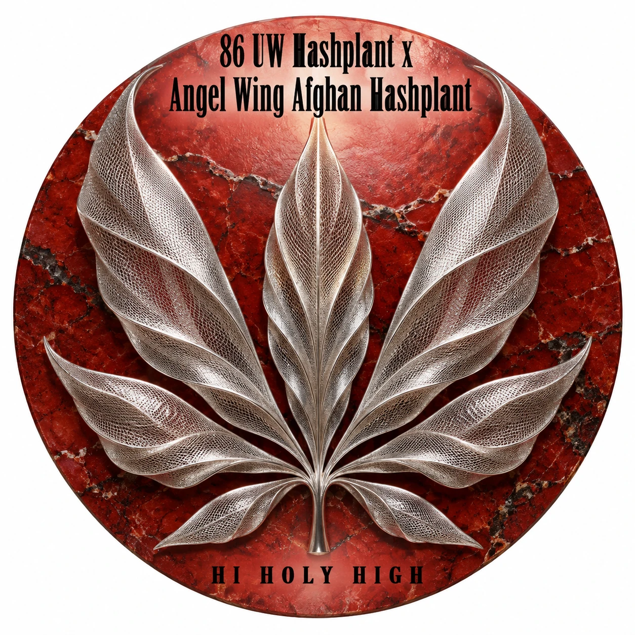 Arte provisional A-R1 · 86 UW Hashplant x Angel Wing Afghan Hashplant