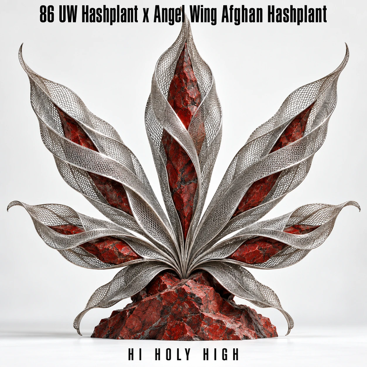 Arte provisional A-S1 · 86 UW Hashplant x Angel Wing Afghan Hashplant