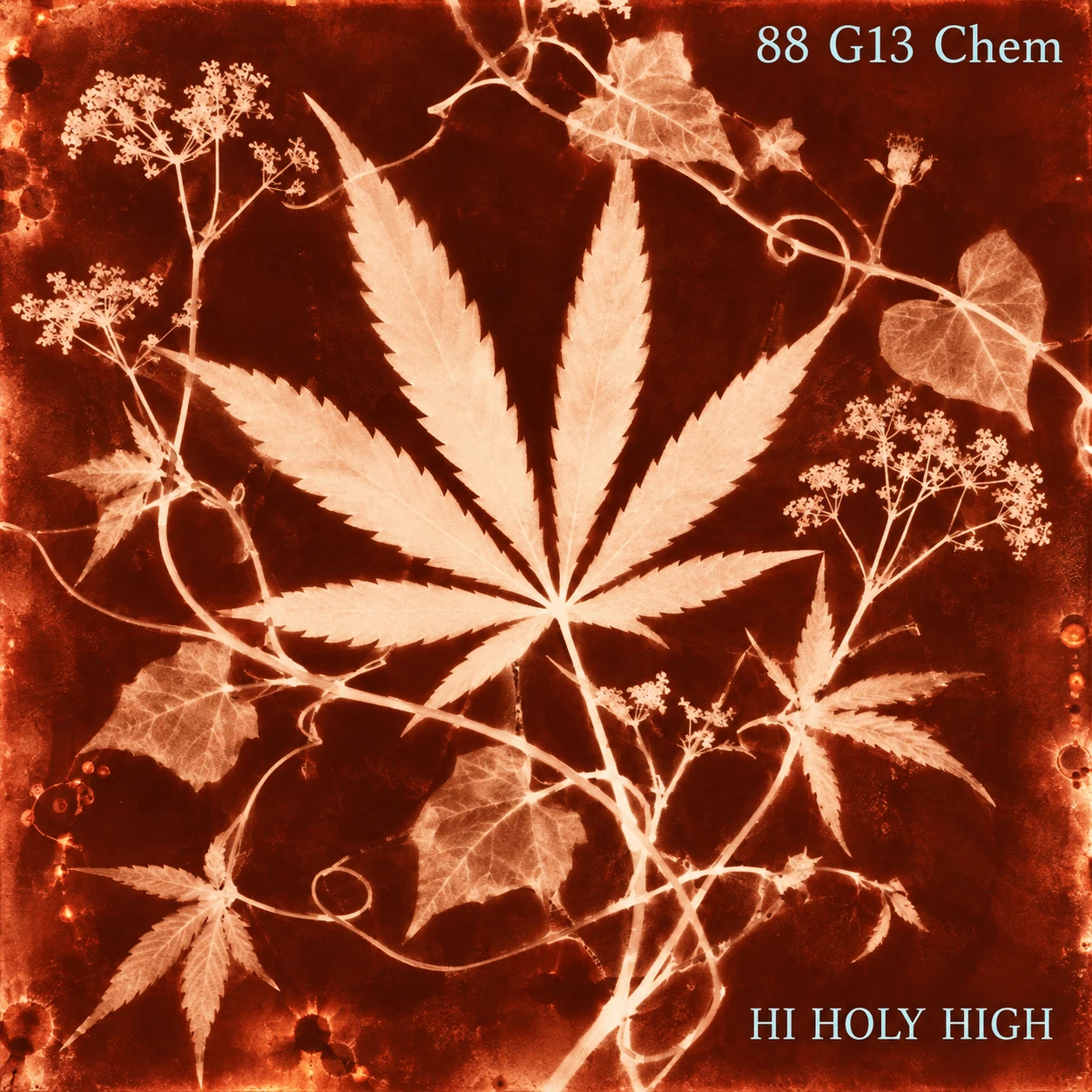 Arte provisional A-S1 · 88 G13 Chem