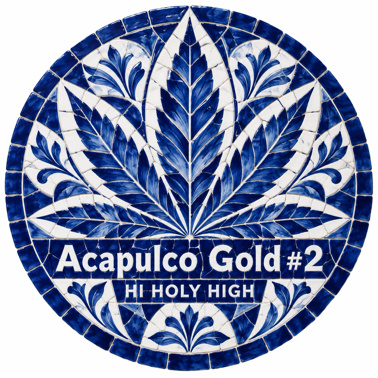 Vorläufiger Entwurf A-R1 · Acapulco Gold #2