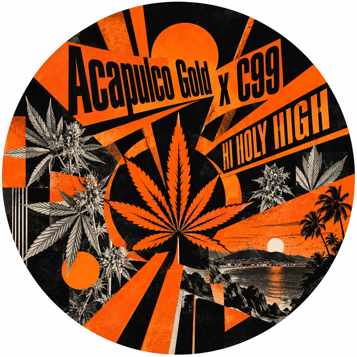 Vorläufiger Entwurf A-R1 · Acapulco Gold x C99