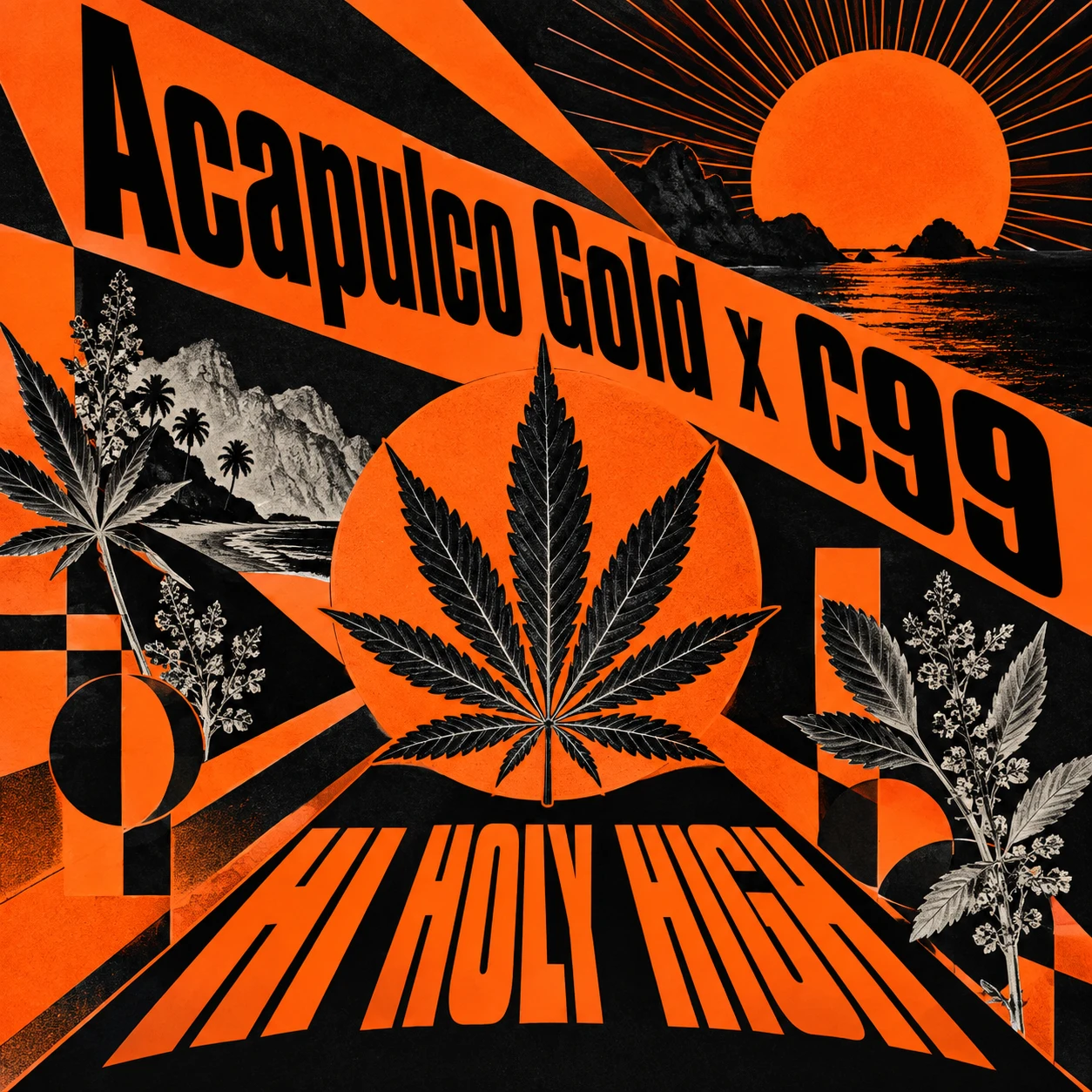 Vorläufiger Entwurf A-S1 · Acapulco Gold x C99