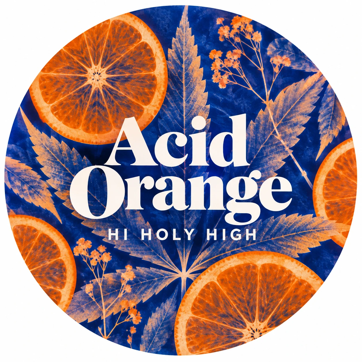 Arte provisional A-R1 · Acid Orange