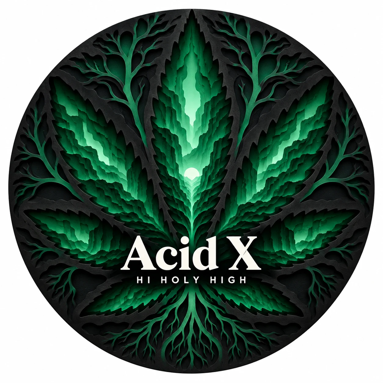 Arte provisional A-R1 · Acid X