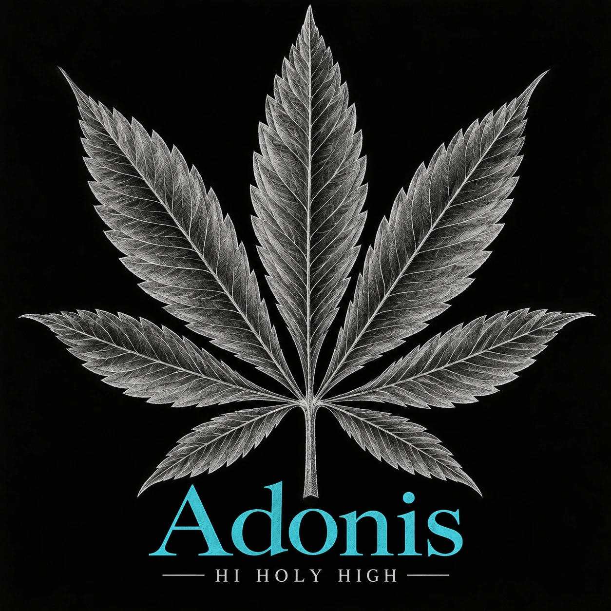 Vorläufiger Entwurf A-S1 · Adonis