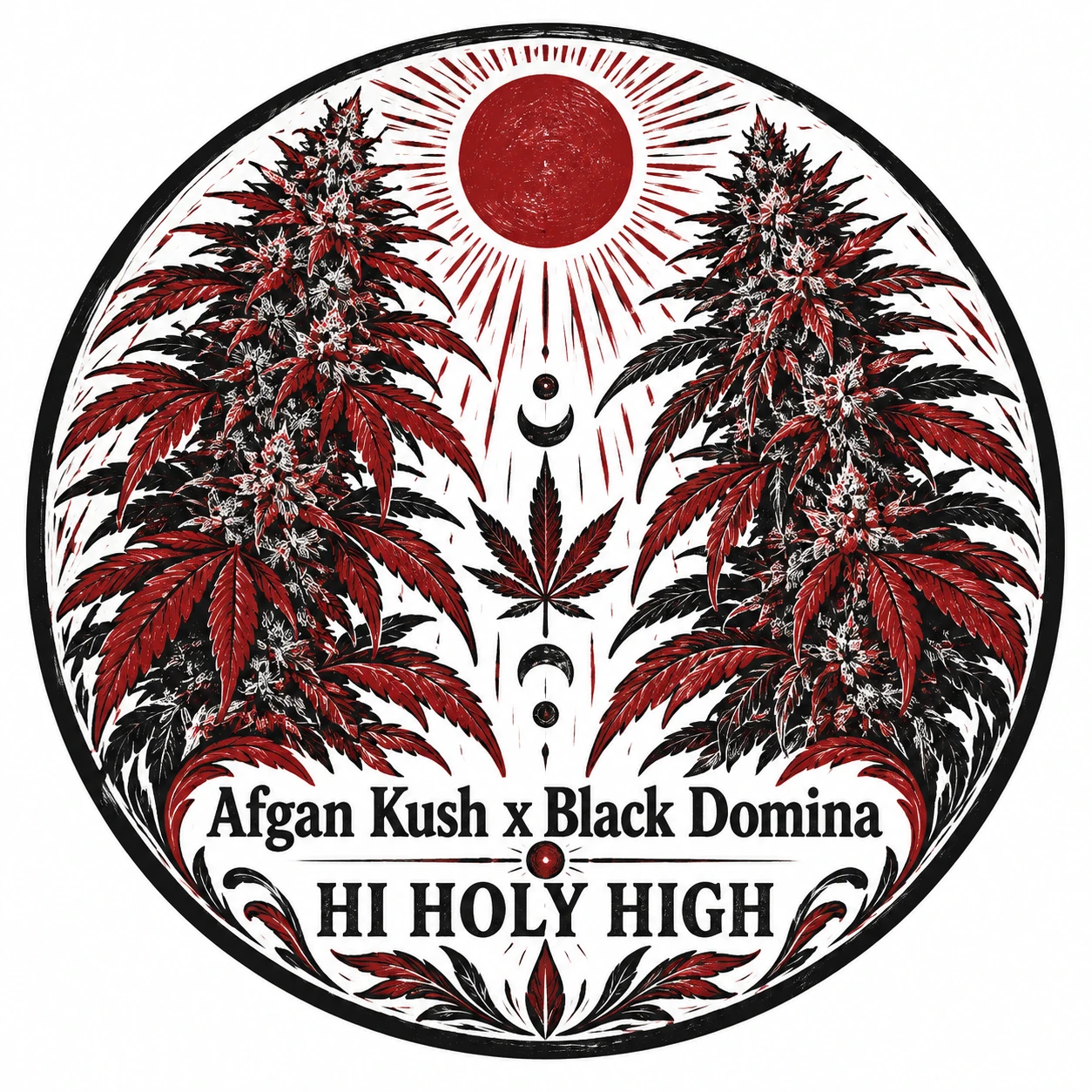 Arte provisional A-R1 · Afgan Kush x Black Domina