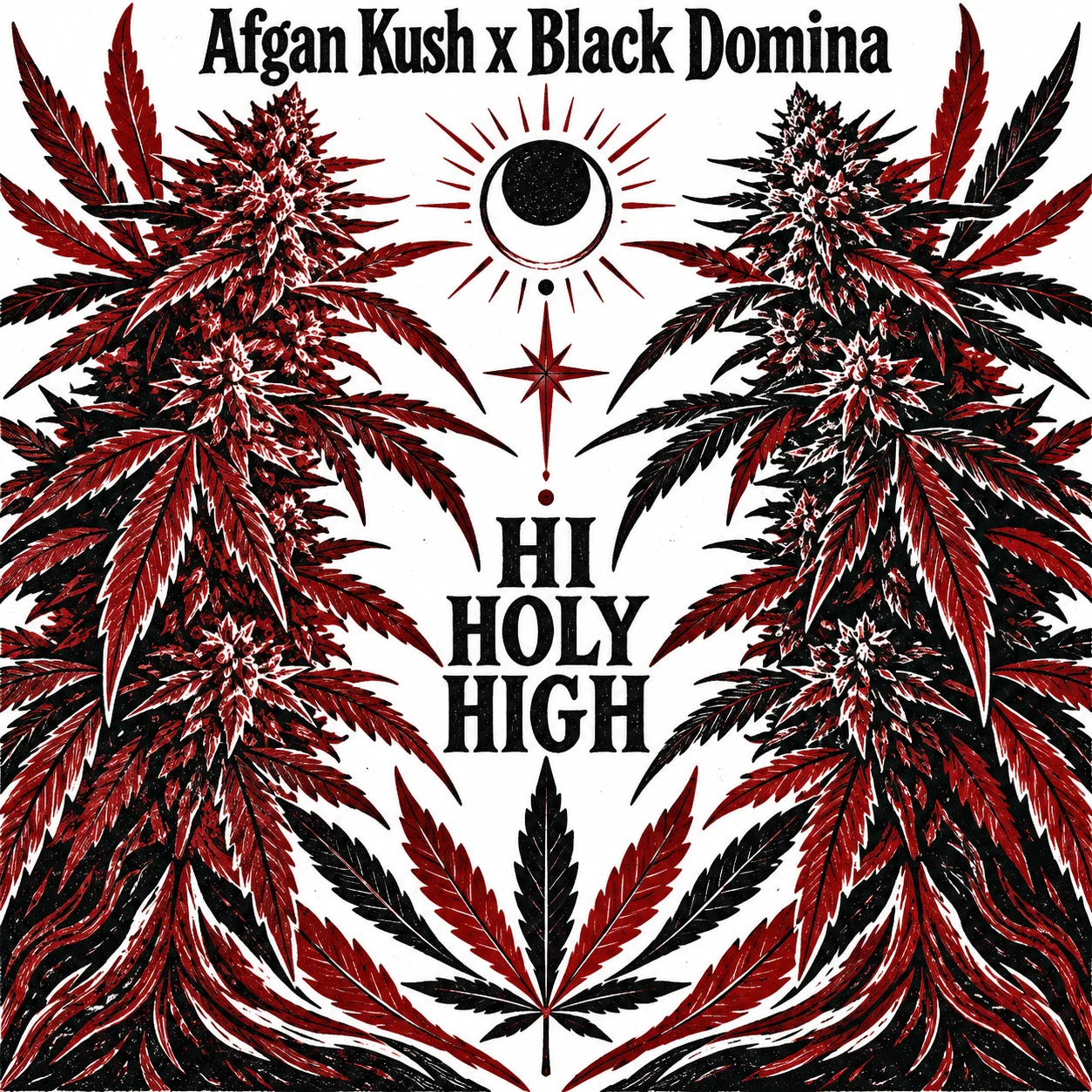 Arte provisional A-S1 · Afgan Kush x Black Domina