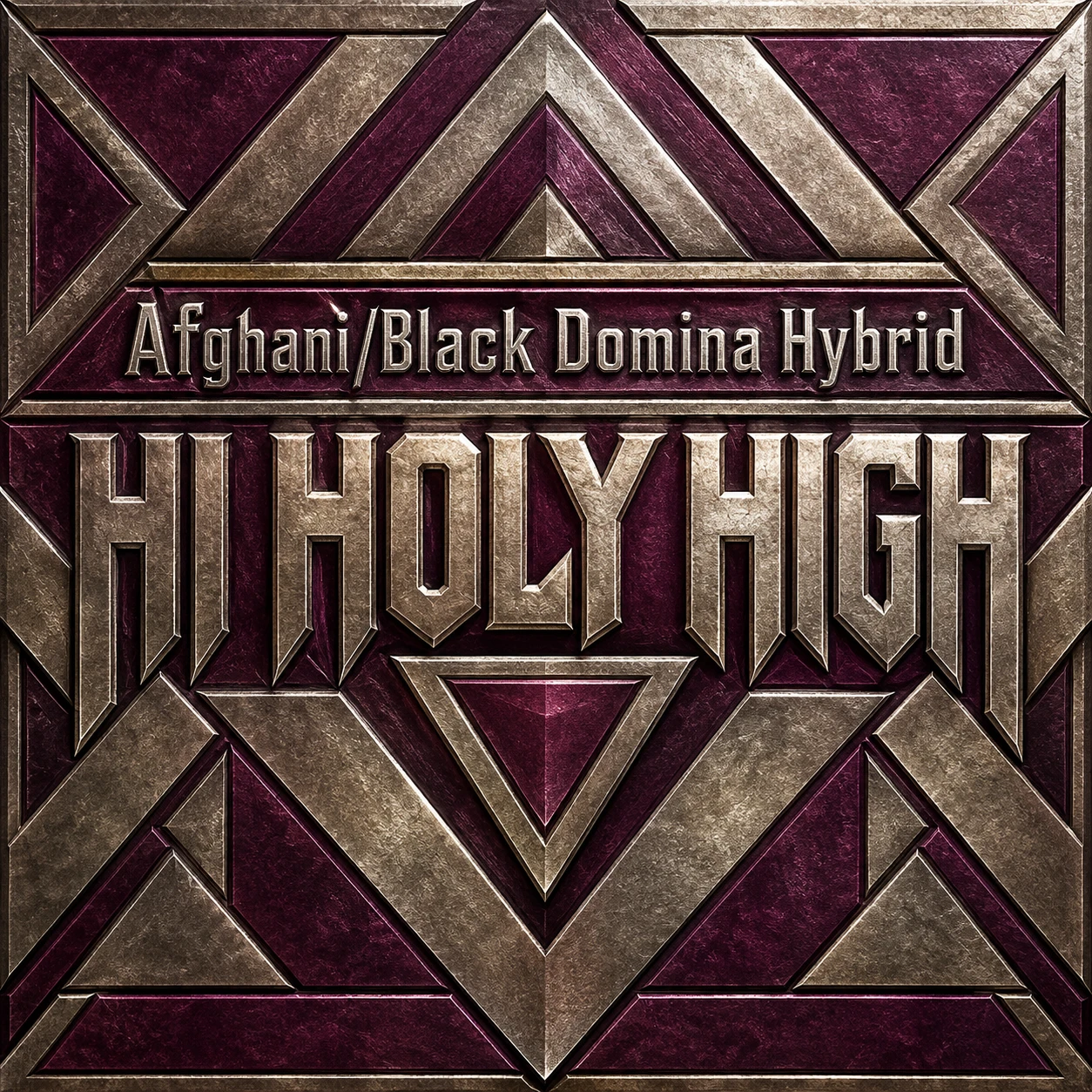 Vorläufiger Entwurf A-S1 · Afghani/Black Domina Hybrid
