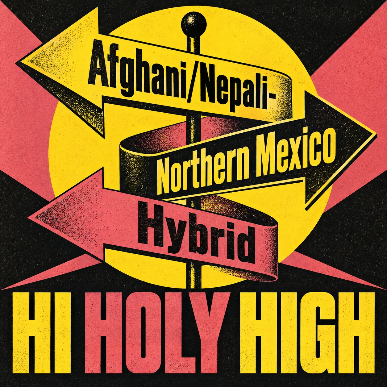 Vorläufiger Entwurf A-S1 · Afghani/Nepali-Northern Mexico Hybrid