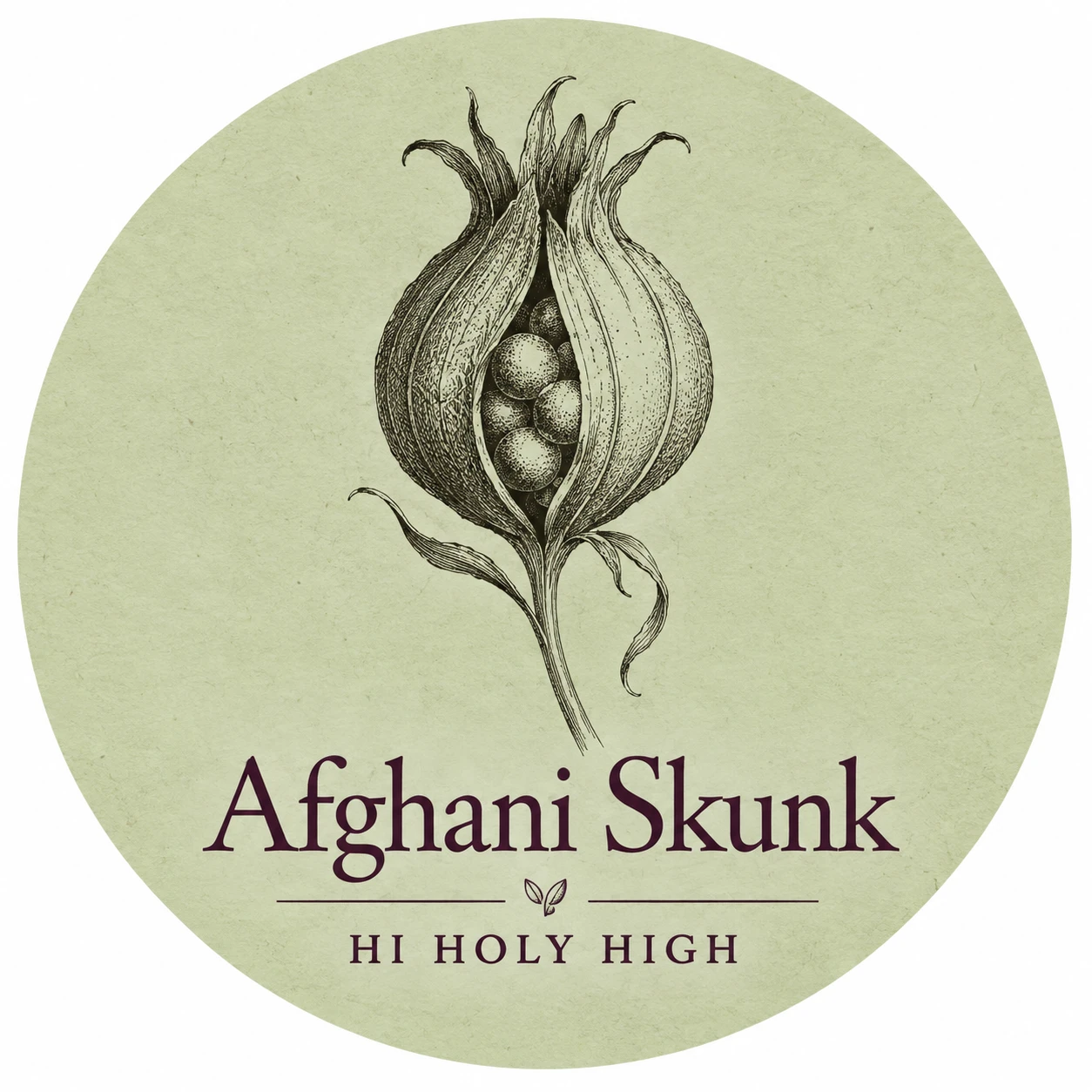 Provisional artwork A-R1 · Afghani Skunk