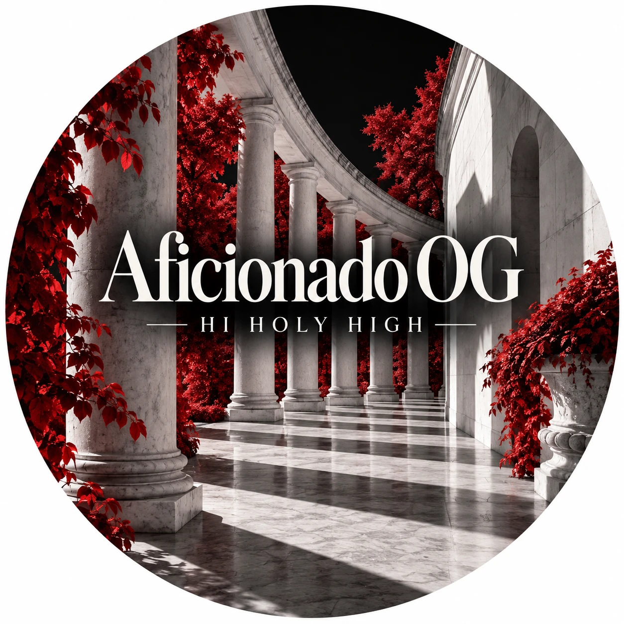 Provisional artwork A-R1 · Aficionado OG