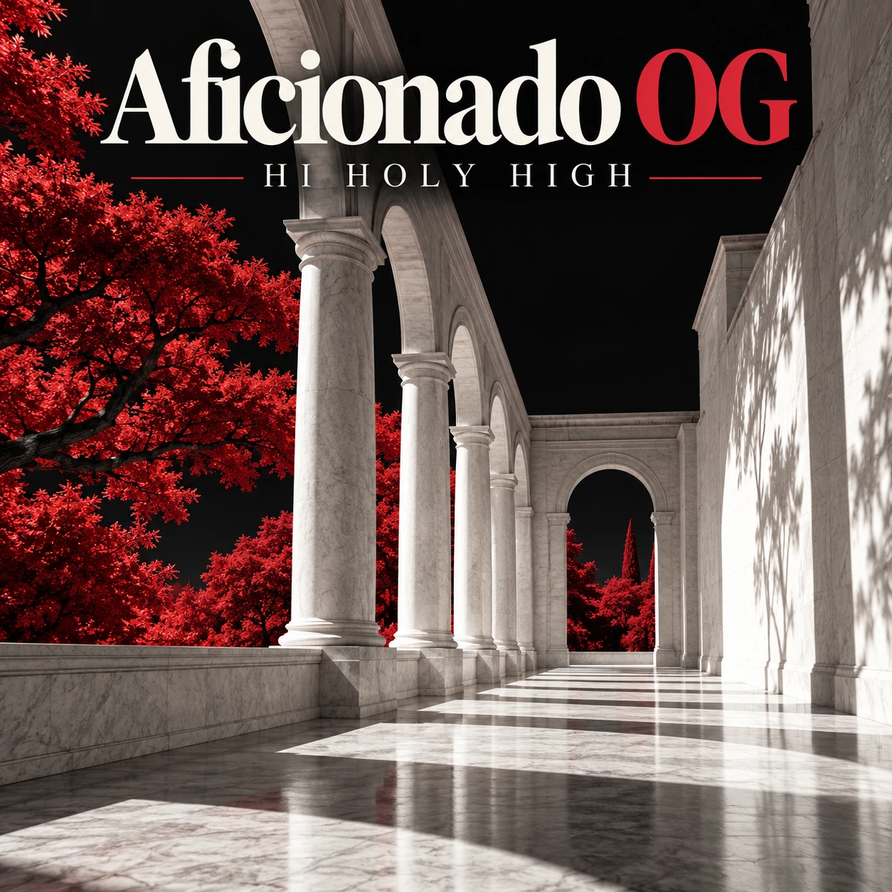 Provisional artwork A-S1 · Aficionado OG