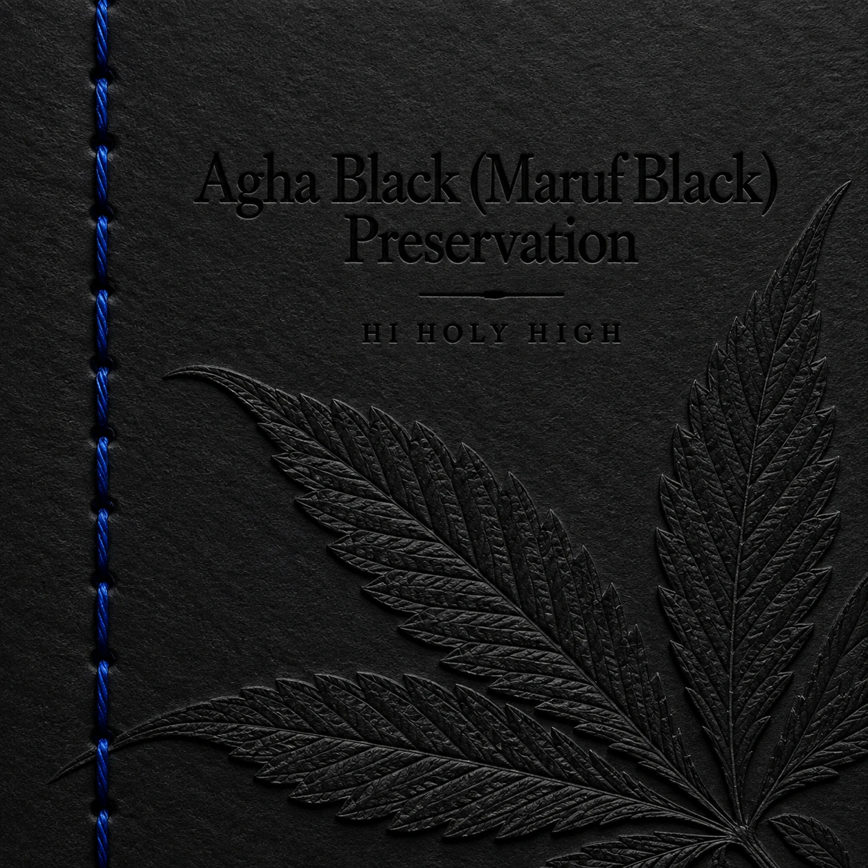 Vorläufiger Entwurf A-S1 · Agha Black (Maruf Black) Preservation