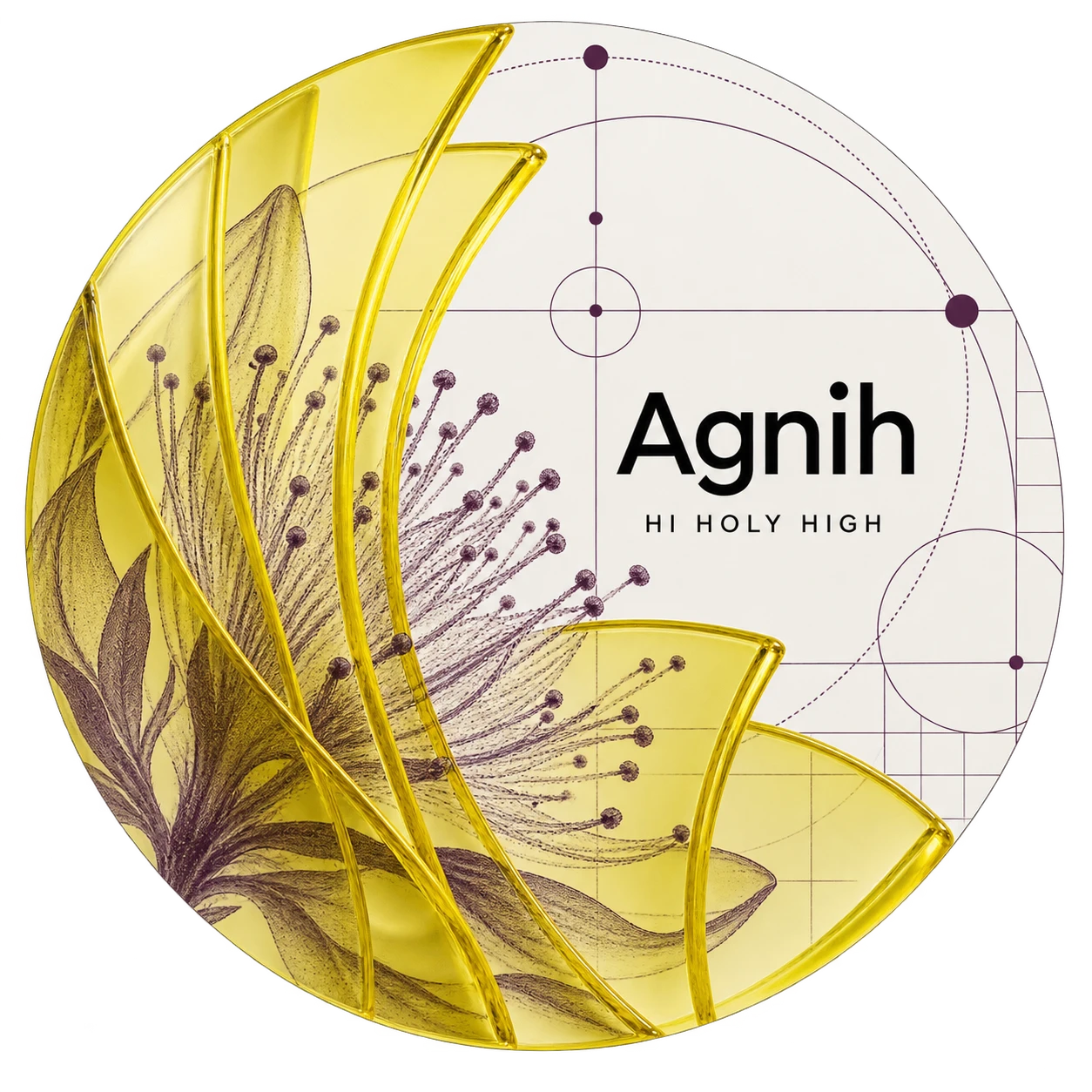 Arte provisional A-R1 · Agnih