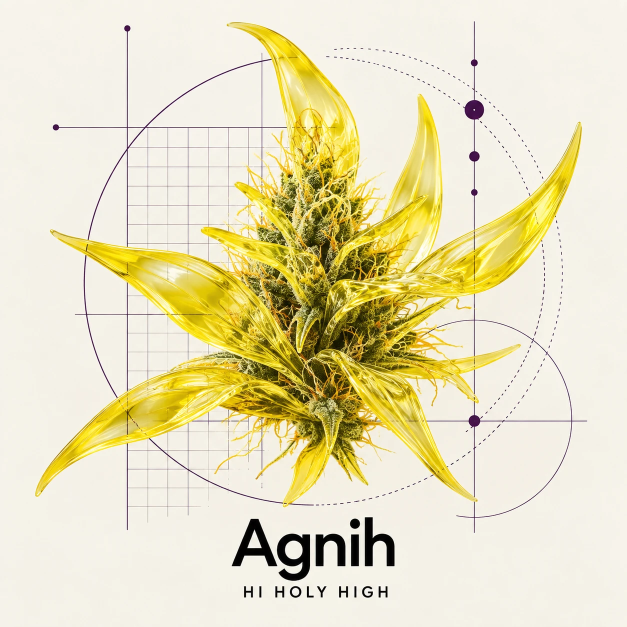 Arte provisional A-S1 · Agnih