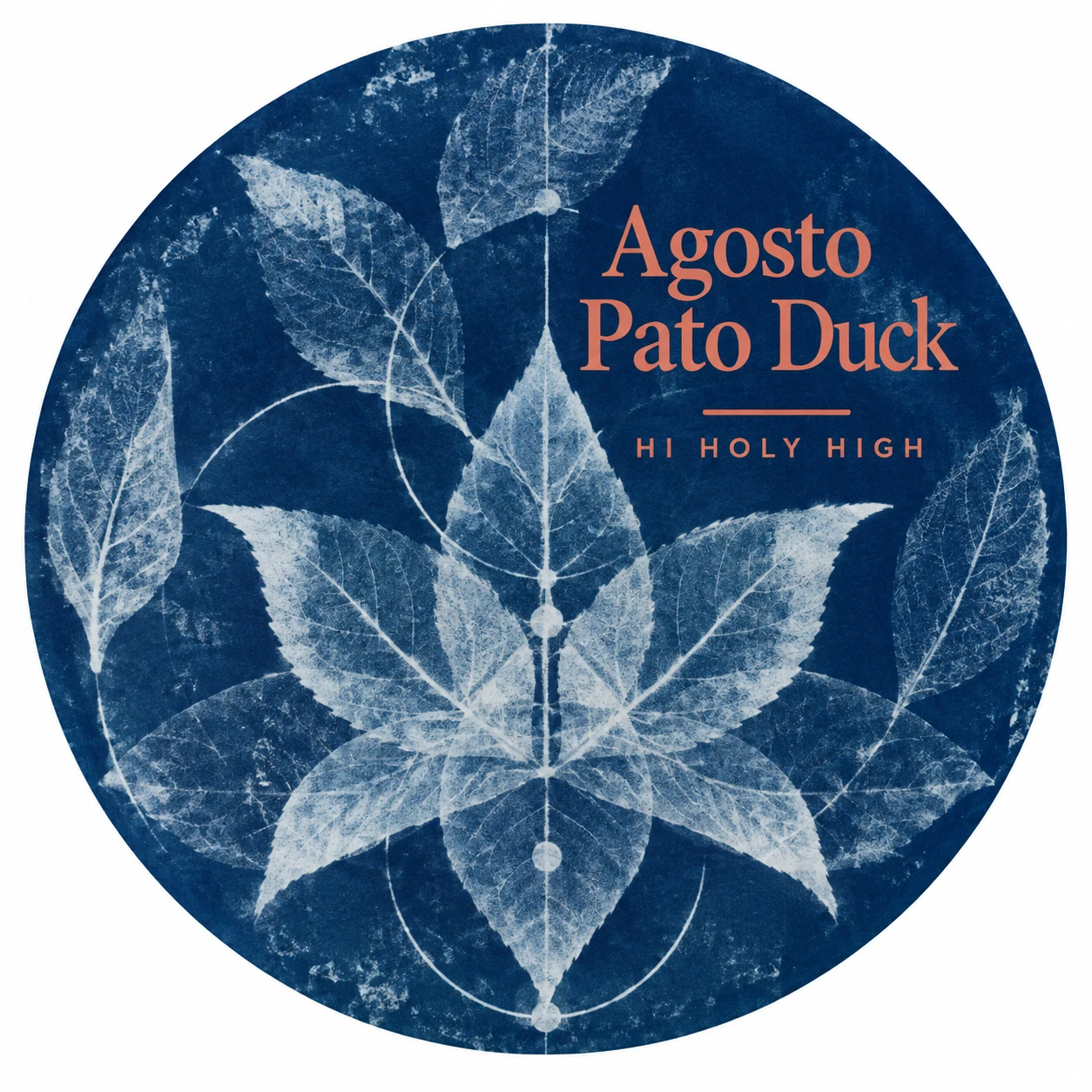Vorläufiger Entwurf A-R1 · Agosto Pato Duck