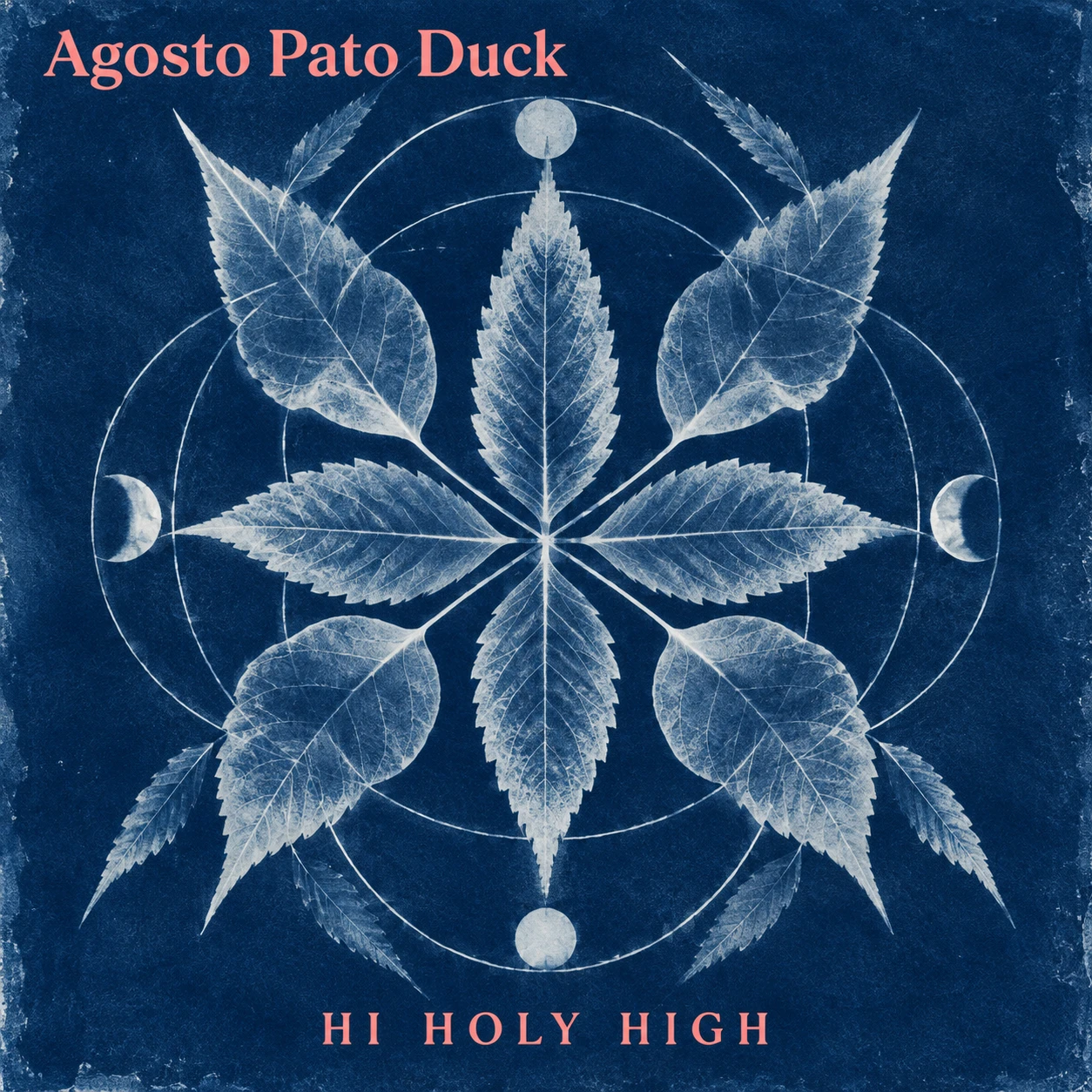 Vorläufiger Entwurf A-S1 · Agosto Pato Duck