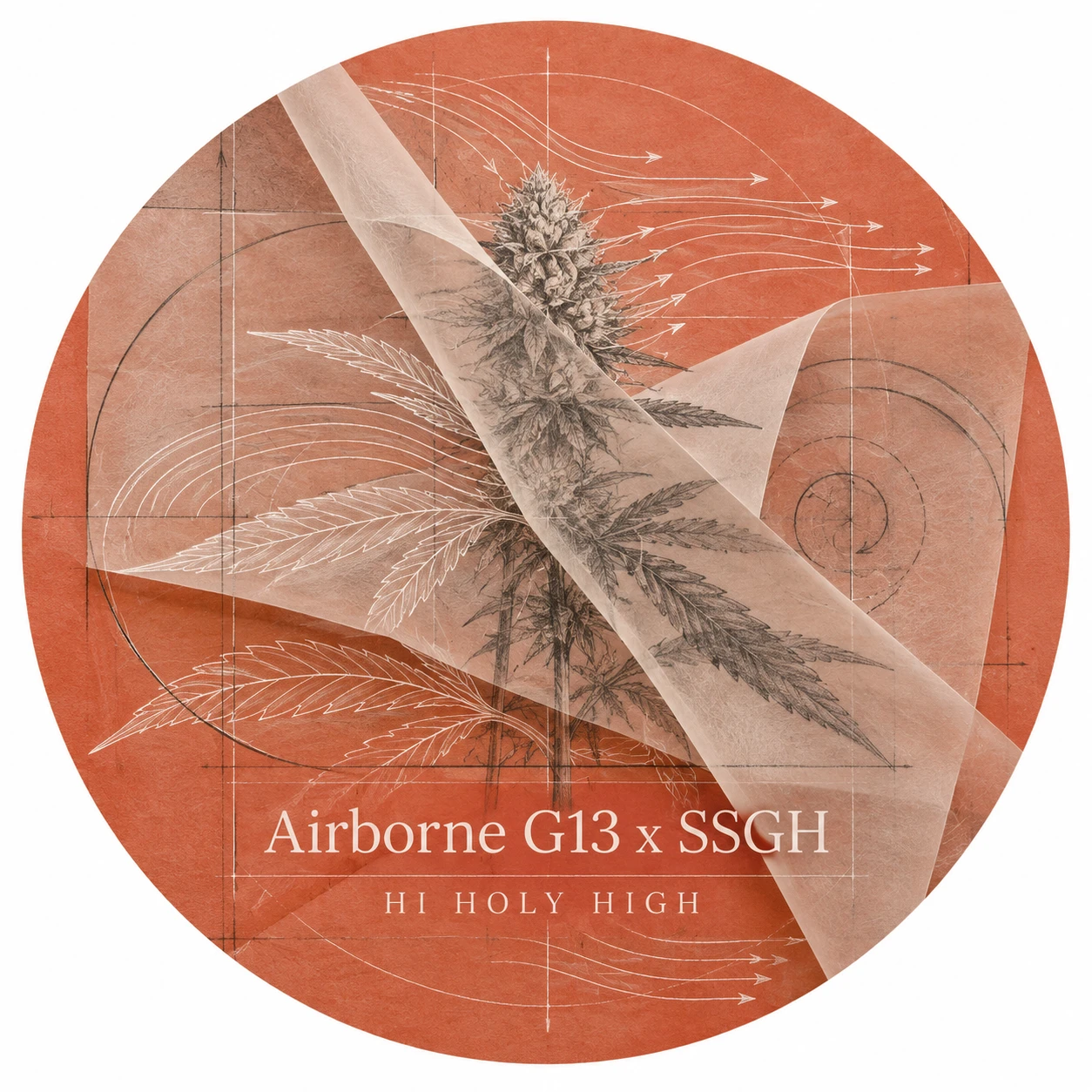 Arte provisional A-R1 · Airborne G13 x SSGH