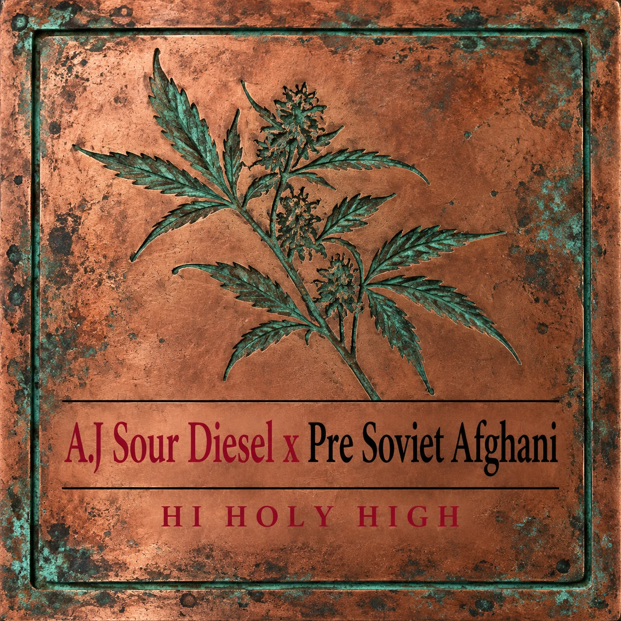 Arte provisional A-S1 · AJ Sour Diesel x Pre Soviet Afghani