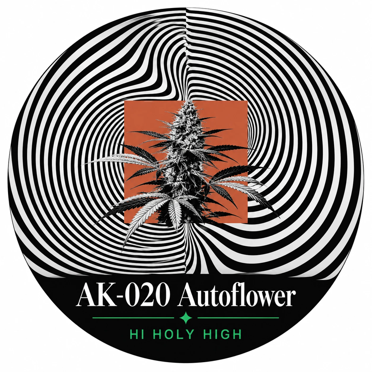 Arte provisional A-R1 · AK-020 Autoflower