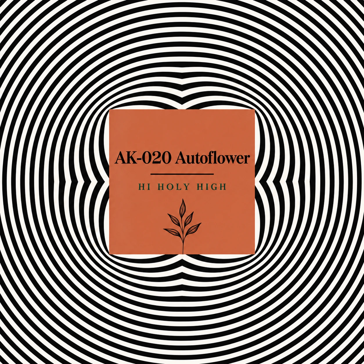 Arte provisional A-S1 · AK-020 Autoflower