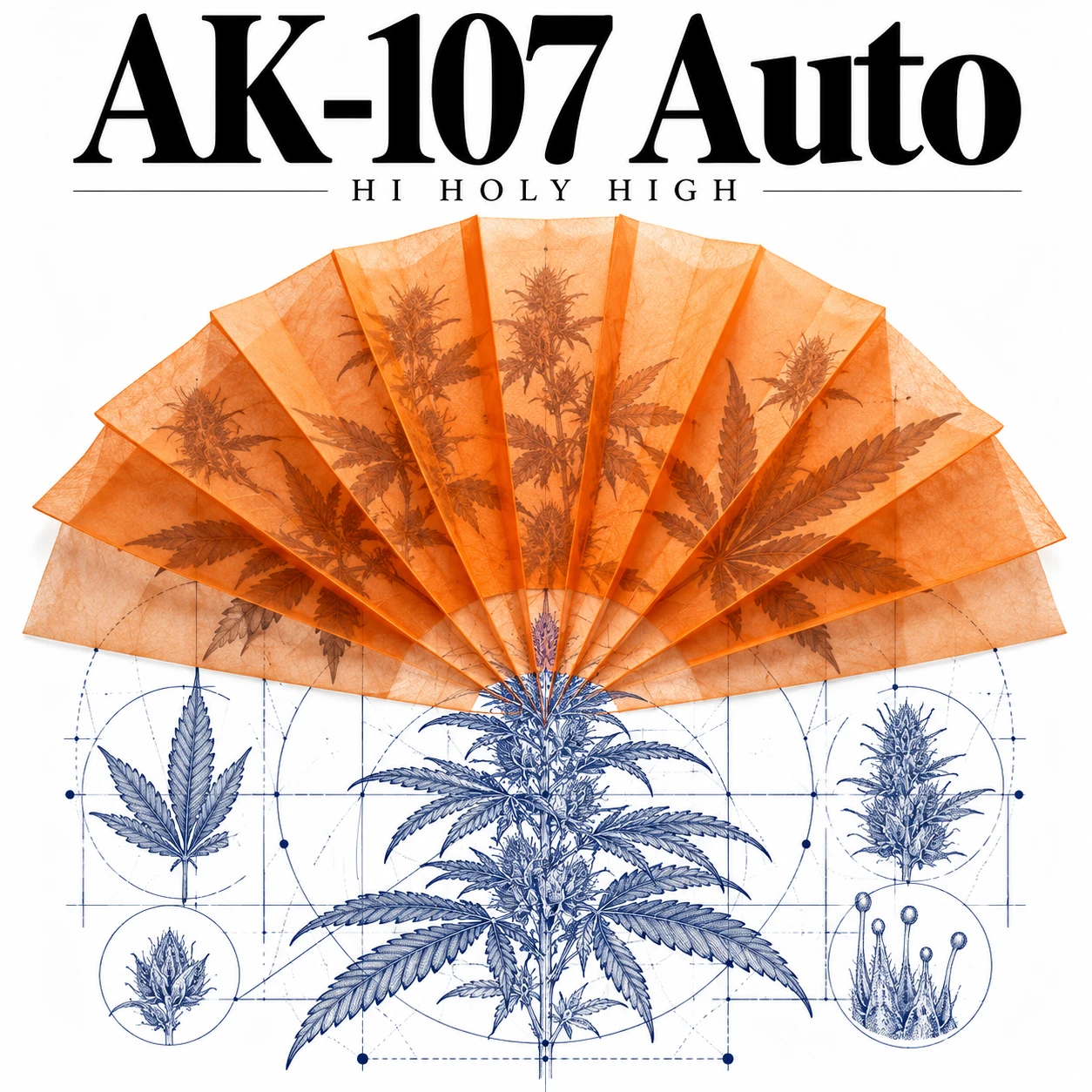 Provisional artwork A-S1 · AK-107 Auto