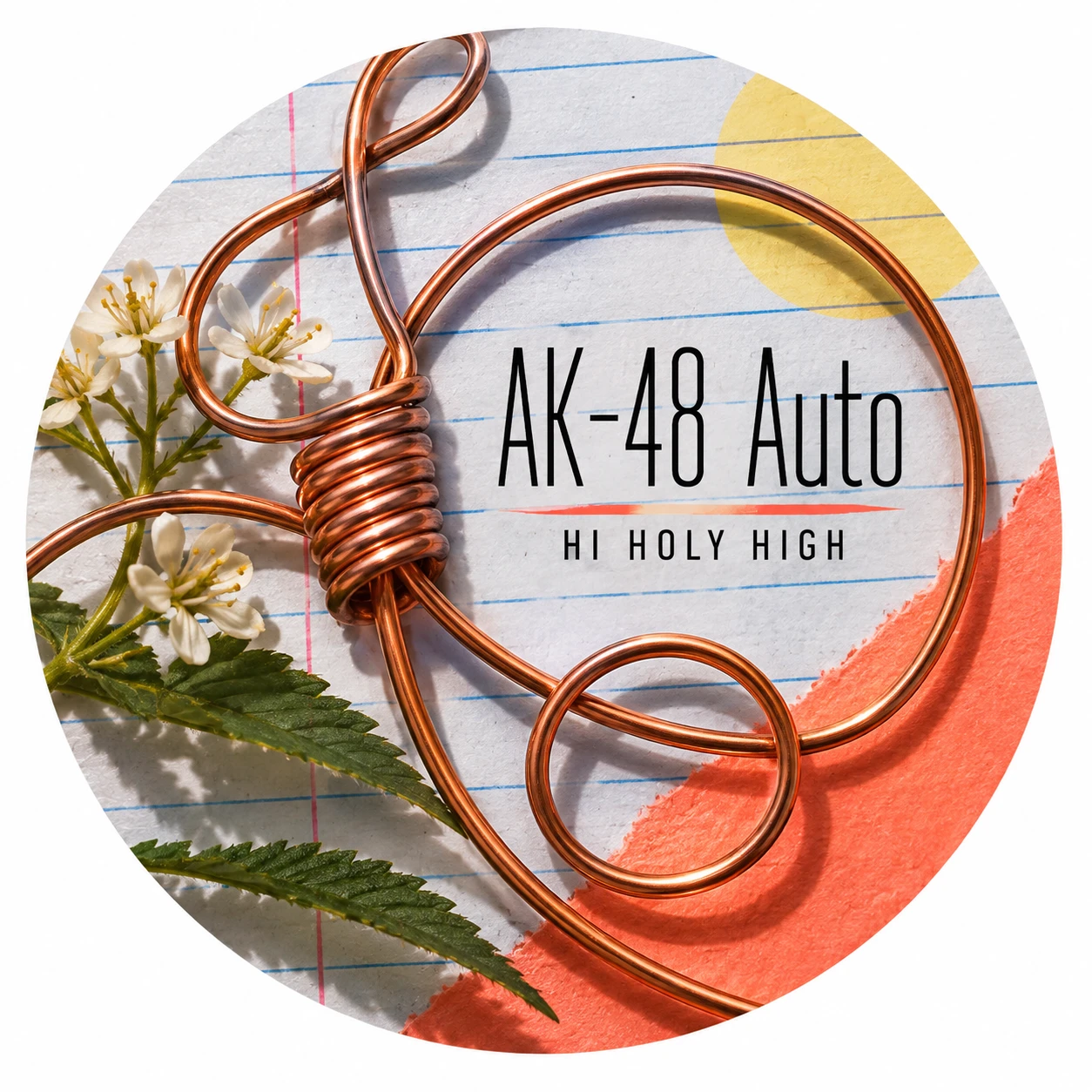 Vorläufiger Entwurf A-R1 · AK-48 Auto