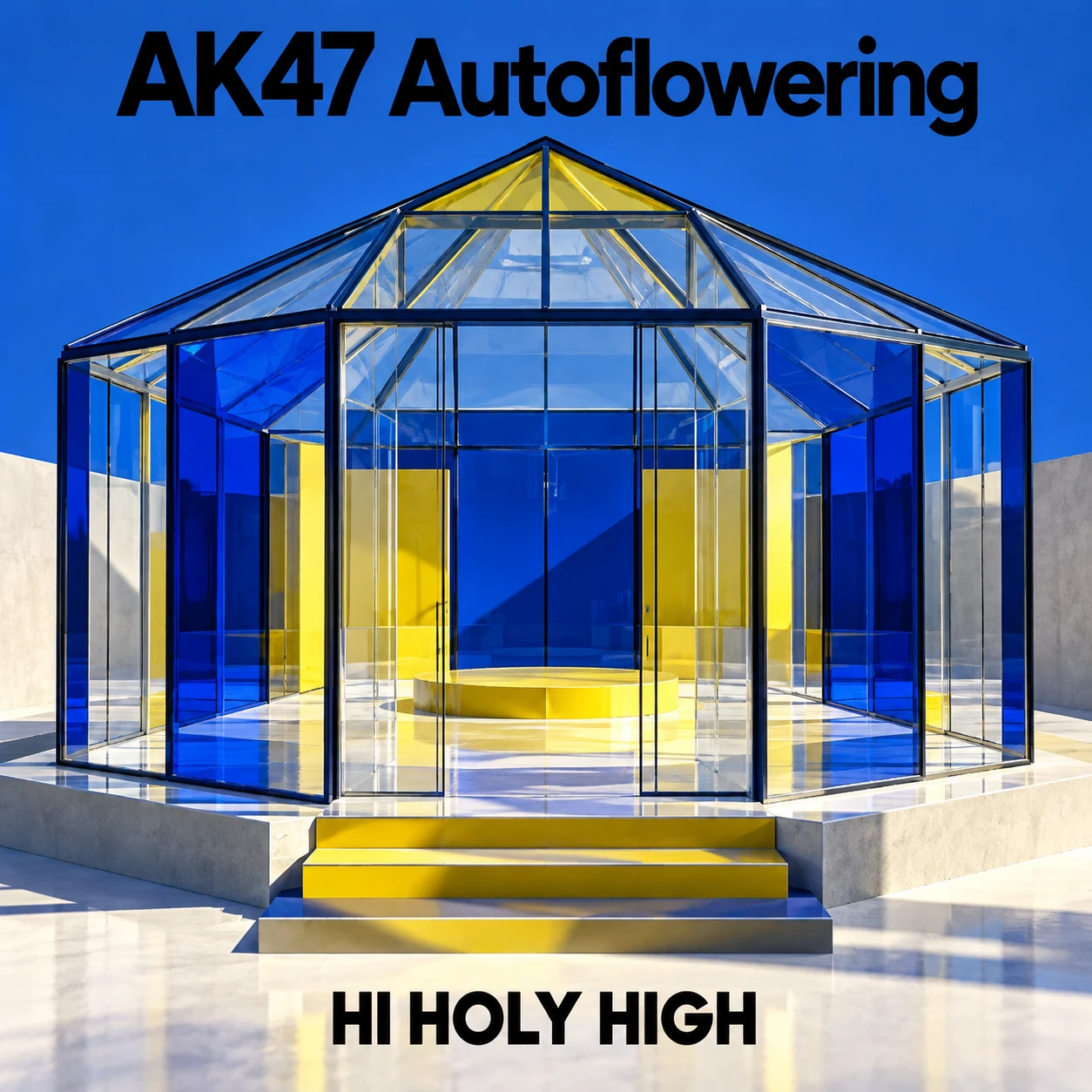 Arte provisional A-S1 · AK47 Autoflowering