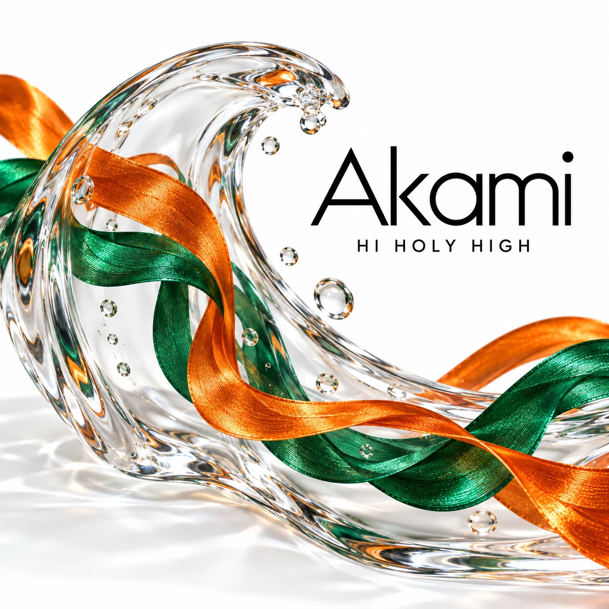 Vorläufiger Entwurf A-S1 · Akami
