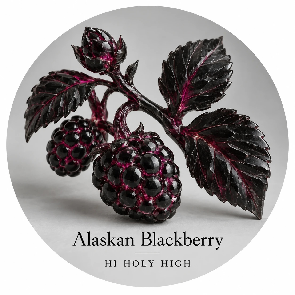 Vorläufiger Entwurf A-R1 · Alaskan Blackberry