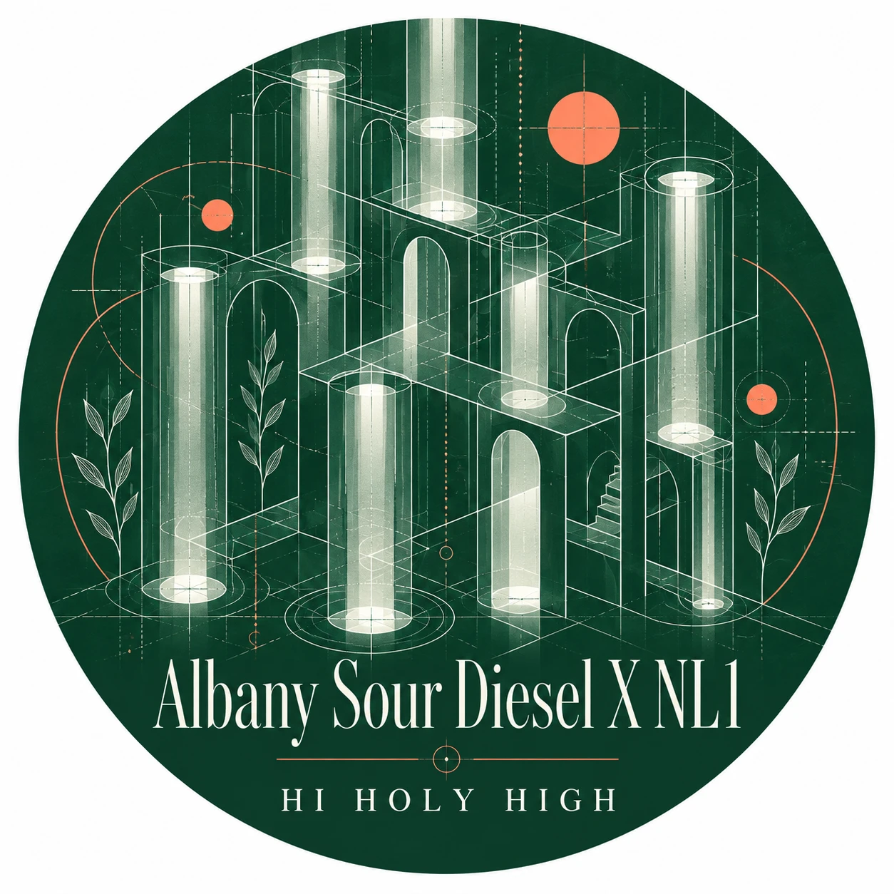 Vorläufiger Entwurf A-R1 · Albany Sour Diesel X NL1