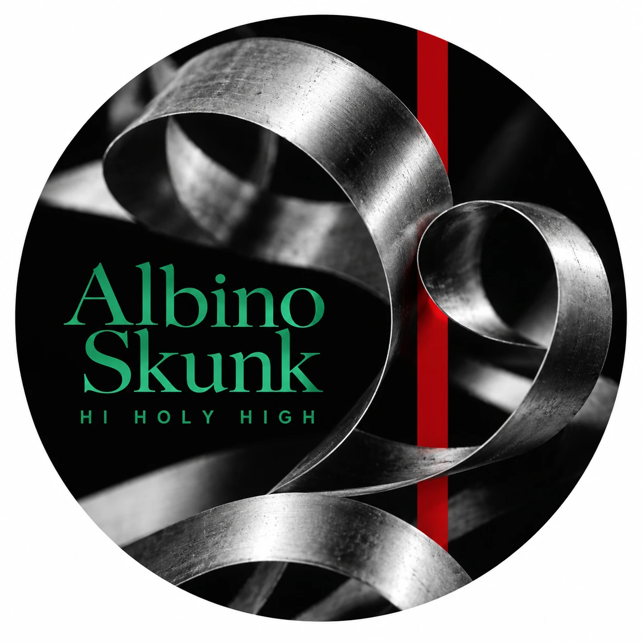 Vorläufiger Entwurf A-R1 · Albino Skunk