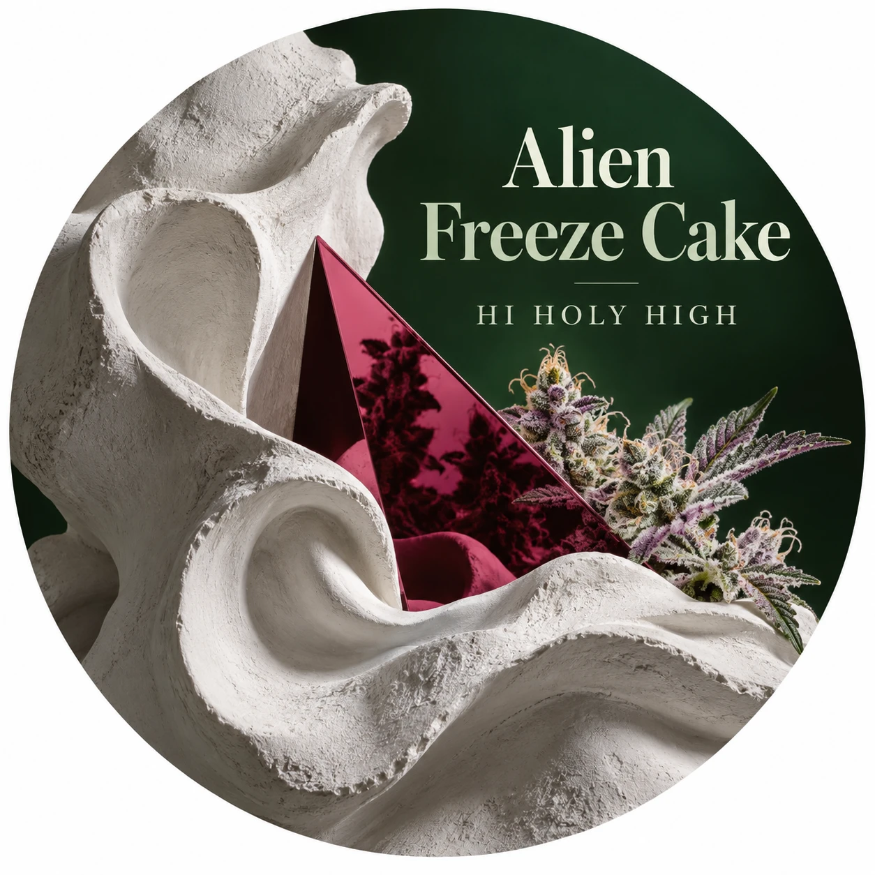 Vorläufiger Entwurf A-R1 · Alien Freeze Cake