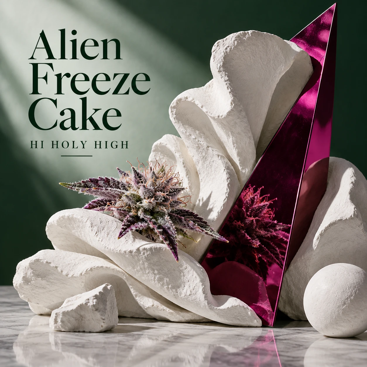 Vorläufiger Entwurf A-S1 · Alien Freeze Cake