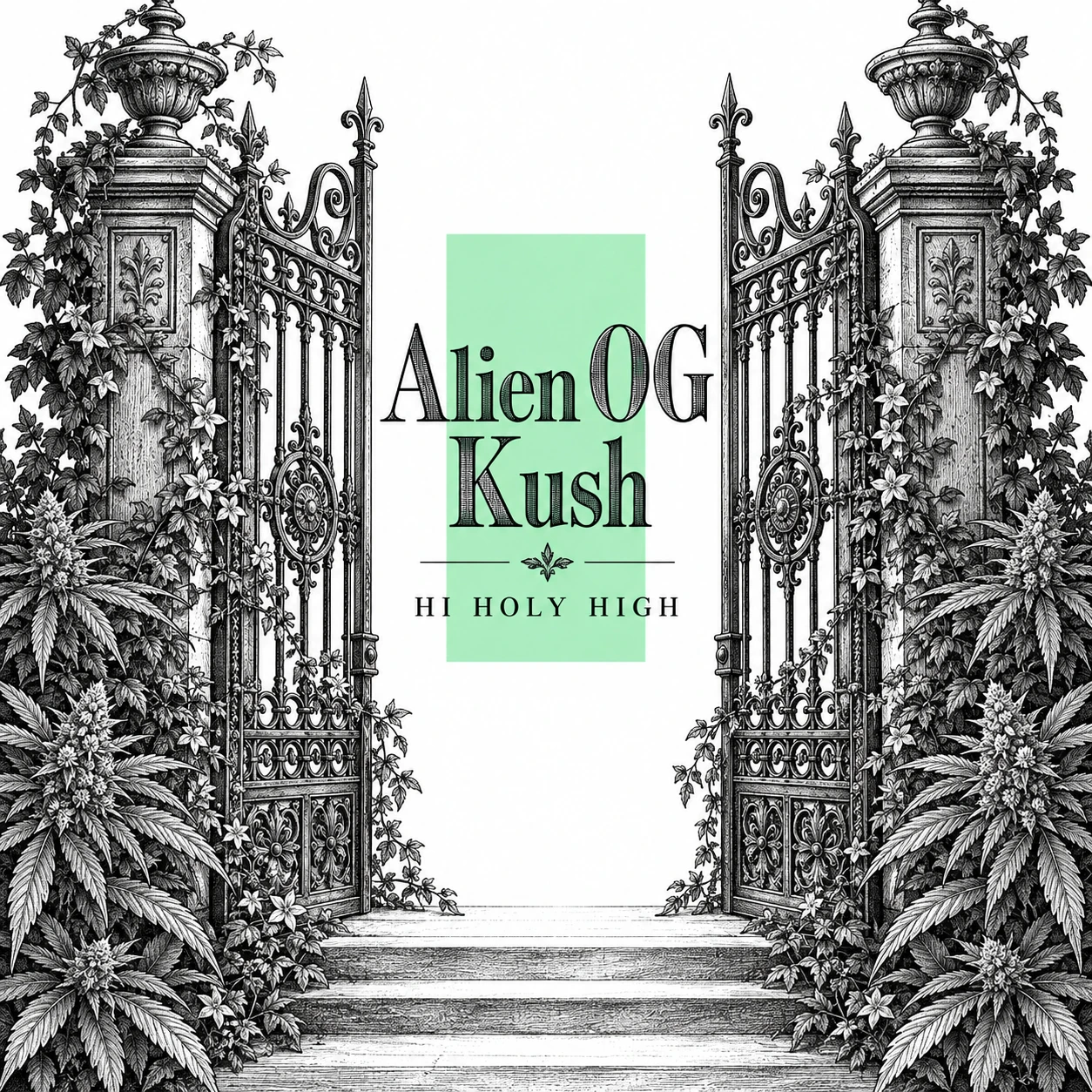 Arte provisional A-S1 · Alien OG Kush