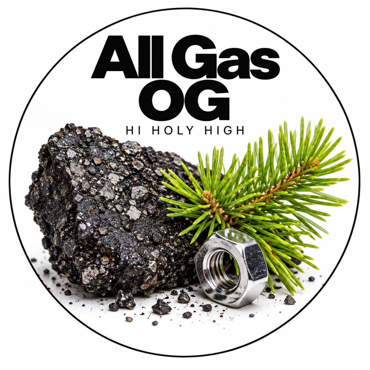 Vorläufiger Entwurf A-R1 · All Gas OG