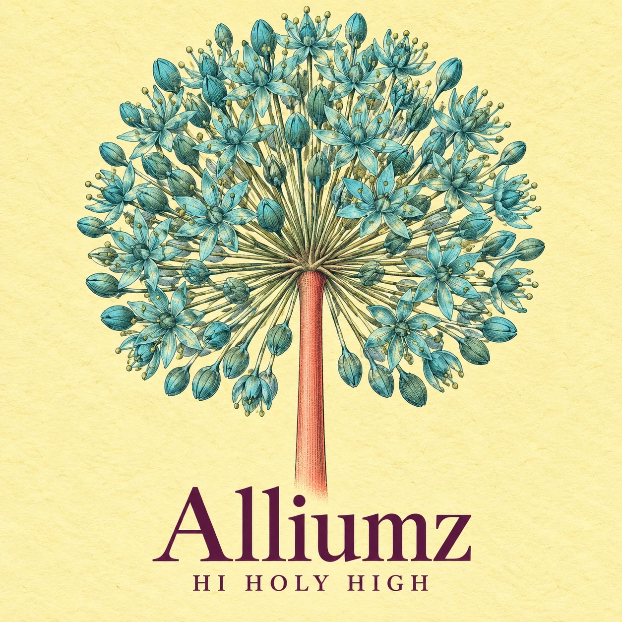 Vorläufiger Entwurf A-S1 · Alliumz