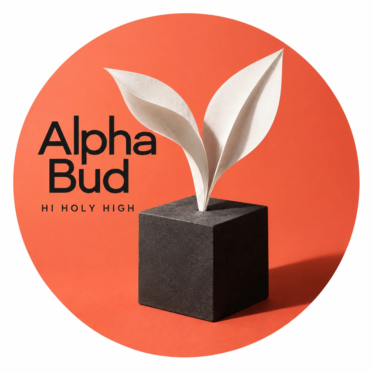 Arte provisional A-R1 · Alpha Bud