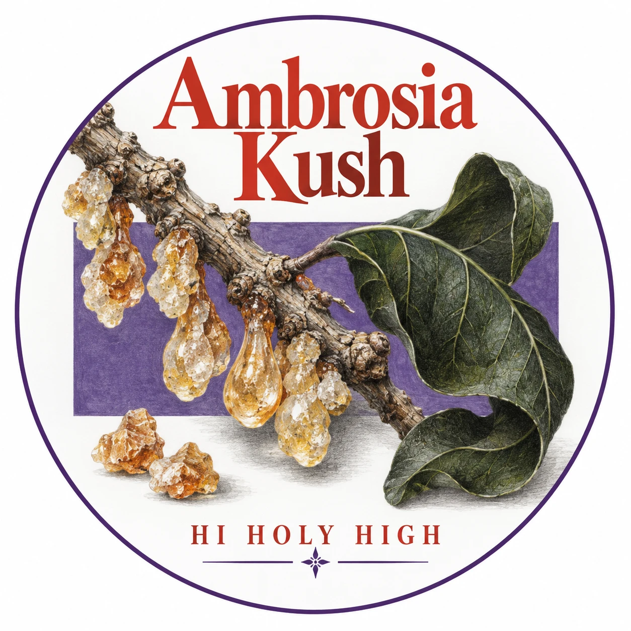 Arte provisional A-R1 · Ambrosia Kush