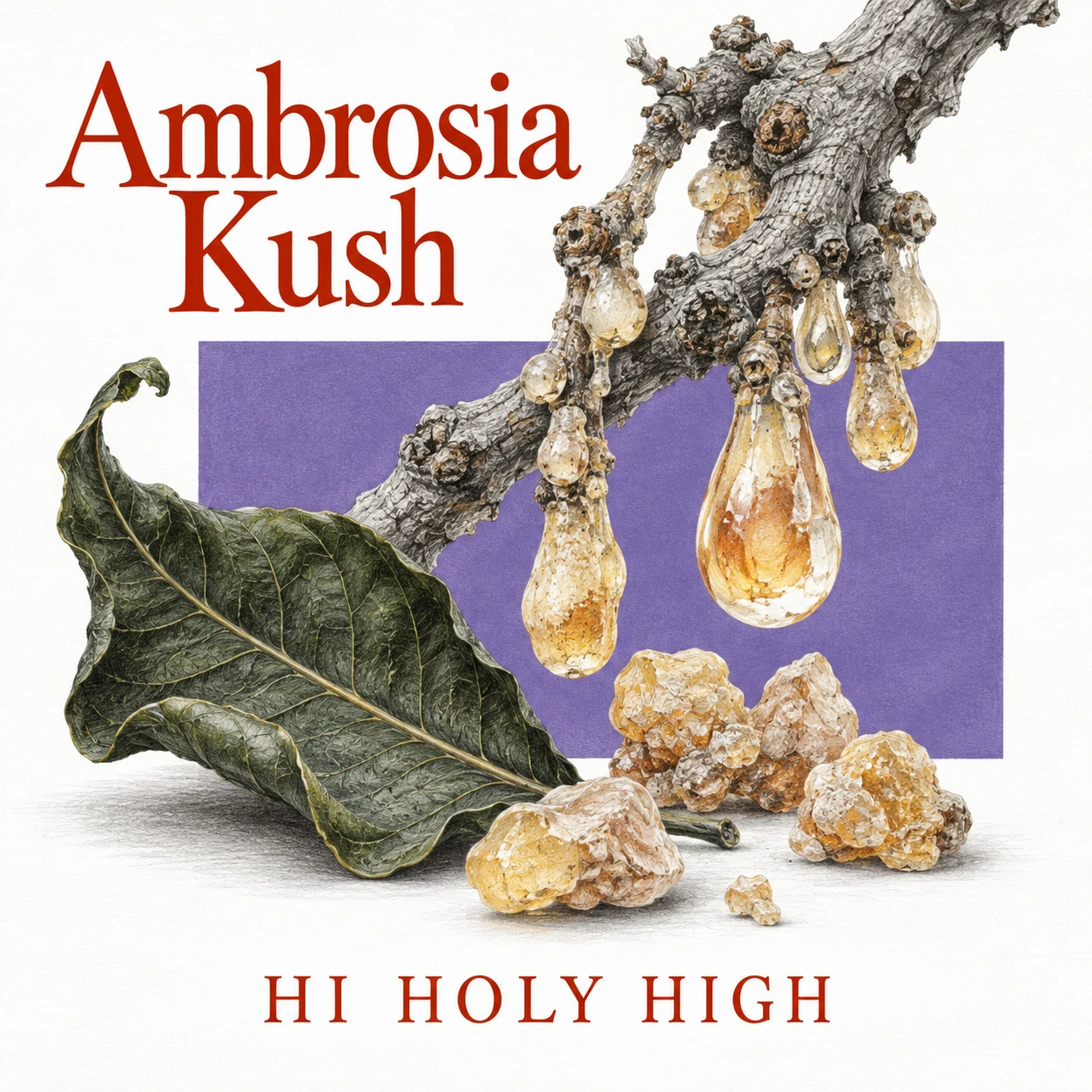 Arte provisional A-S1 · Ambrosia Kush