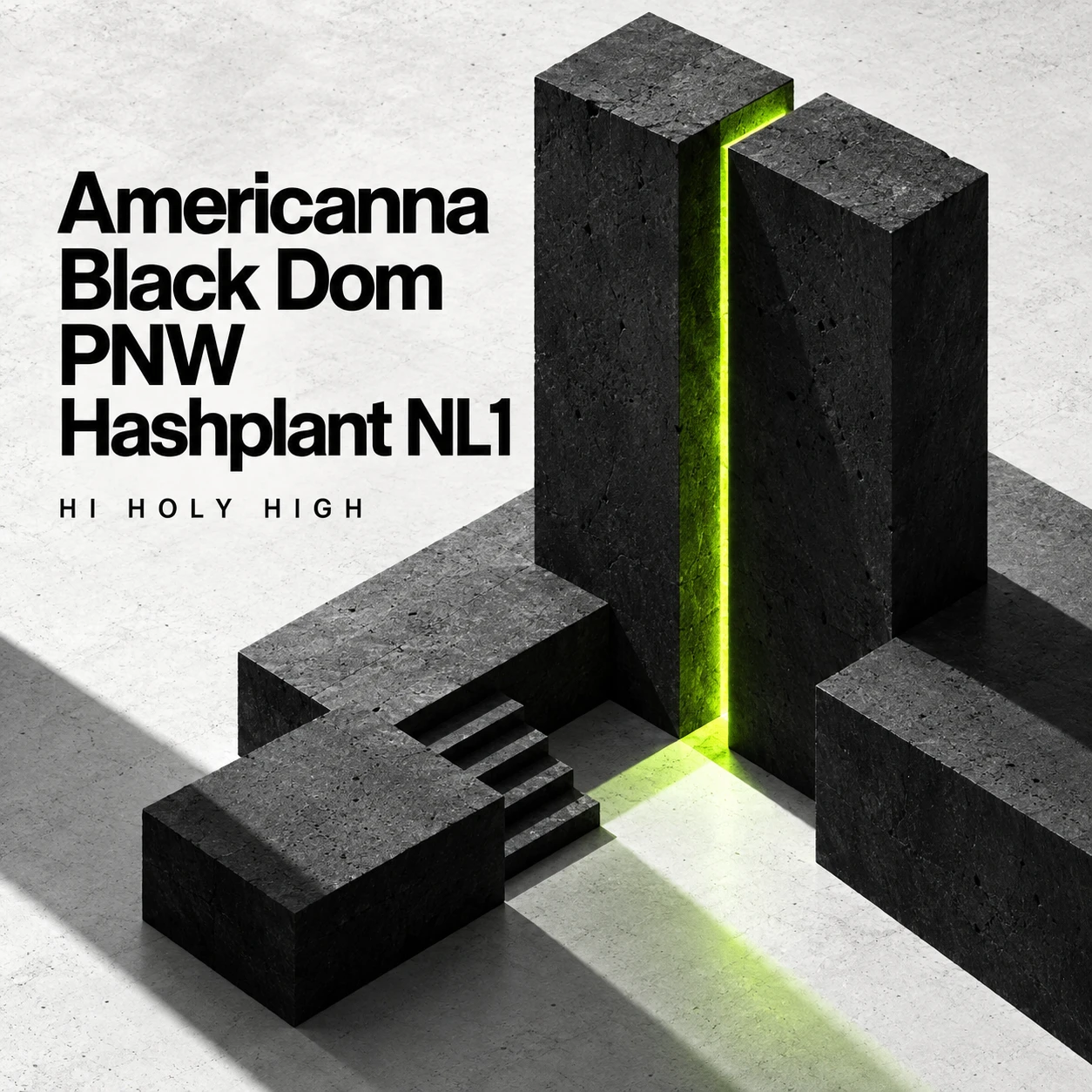 Arte provisional A-S1 · Americanna / Black Dom PNW Hashplant NL1