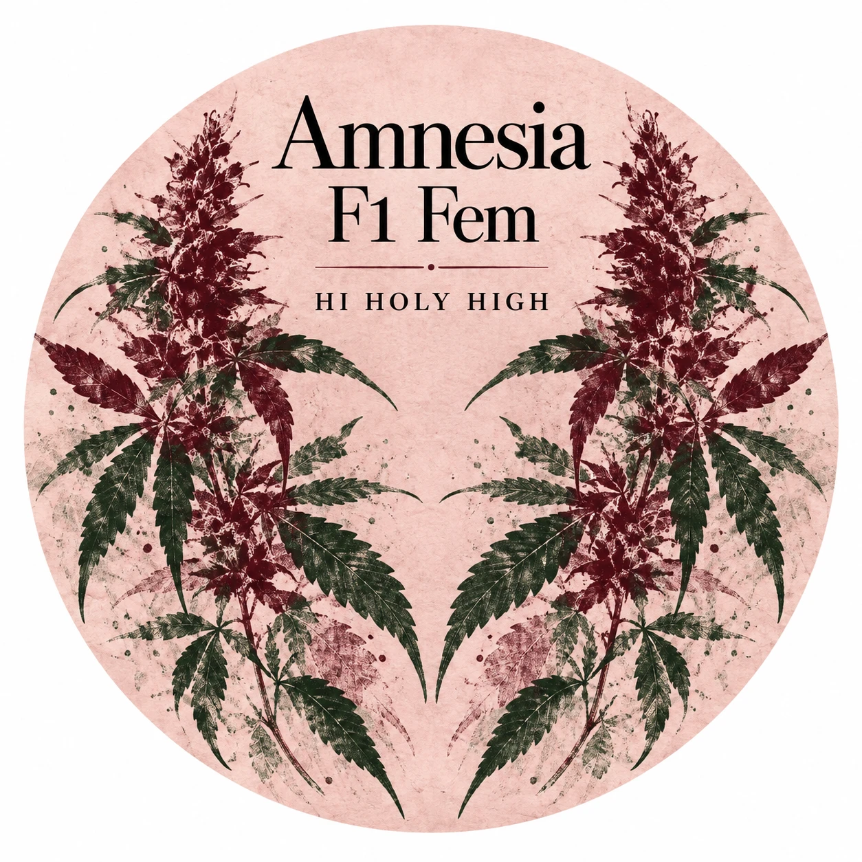Vorläufiger Entwurf A-R1 · Amnesia F1 Fem